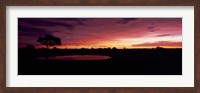 Framed Waterhole in a forest, Okaukuejo, Etosha National Park, Kunene Region, Namibia