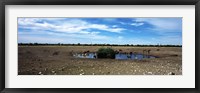 Framed Wild animals at a waterhole, Etosha National Park, Kunene Region, Namibia