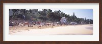 Framed Tourists on the beach, North Shore, Oahu, Hawaii, USA