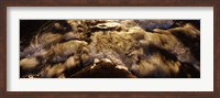 Framed High angle view of a river, US Glacier National Park, Montana, USA