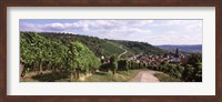 Framed Vineyards, Obertuerkheim, Stuttgart, Baden-Wurttemberg, Germany