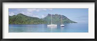 Framed Sailboats in the sea, Tahiti, Society Islands, French Polynesia