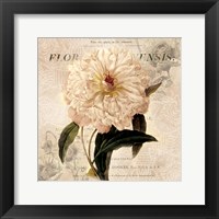 Framed White Peony I