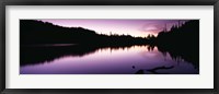 Framed Reflection of trees in a lake, Mt Rainier National Park, Washington State