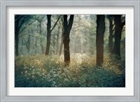 Framed Foret de Tenom