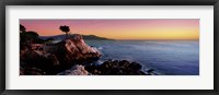 Framed Silhouette of Lone Cypress Tree at a coast, 17-Mile Drive, Carmel, Monterey County, California, USA