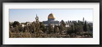 Framed Trees with mosque in the background, Dome Of the Rock, Temple Mount, Jerusalem, Israel