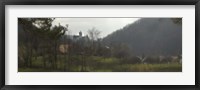 Framed Castle on a hill, Bran Castle, Transylvania, Romania