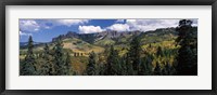 Framed Trees on mountains, Ridgway, Colorado, USA