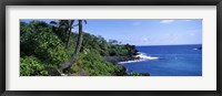Framed Palm trees with plants growing at a coast, Black Sand Beach, Hana Highway, Waianapanapa State Park, Maui, Hawaii, USA