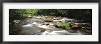 Framed River flowing through a forest, Little Pigeon River, Great Smoky Mountains National Park, Tennessee, USA