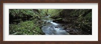 Framed River flowing through a forest, River Lyd, Lydford Gorge, Dartmoor, Devon, England