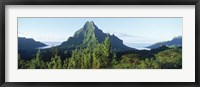 Framed Mountains at a coast, Belvedere Point, Mont Mouaroa, Opunohu Bay, Moorea, Tahiti, French Polynesia