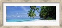 Framed Palm trees on the beach, Fihalhohi Island, Maldives