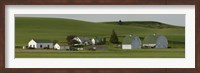 Framed Farm with double barns in wheat fields, Washington State, USA