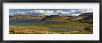 Framed Pond with sedges, Torres del Paine National Park, Chile