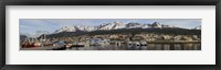 Framed Tierra Del Fuego, Patagonia, Argentina