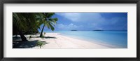 Framed Palm trees on the beach, Tapuaetai, Aitutaki, Cook Islands