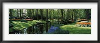 Framed Flower beds and trees in Keukenhof Gardens, Lisse, Netherlands