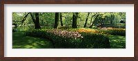 Framed Tulip flowers and trees in Keukenhof Gardens, Lisse, South Holland, Netherlands