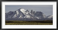 Framed Field with snowcapped mountains, Paine Massif, Torres del Paine National Park, Magallanes Region, Patagonia, Chile