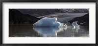 Framed Iceberg in a lake, Gray Glacier, Torres del Paine National Park, Magallanes Region, Patagonia, Chile, Lake