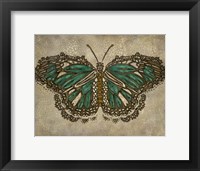 Lace Wing II Framed Print
