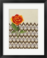 Rosa Dawn I Framed Print