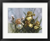 Framed Hadfield Irises I