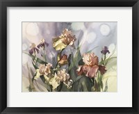 Framed Hadfield Irises V