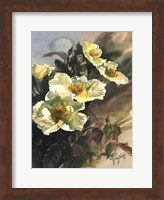 Framed Hadfield Roses I