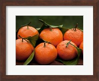 Framed Satsuma Tangerines I