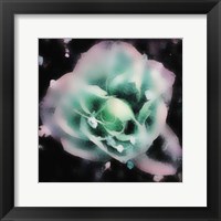 Framed Evening Rose I