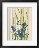 Strip Garden I Framed Print