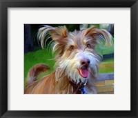 Framed Terrier Hairspray