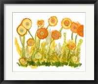 Framed Sunlit Poppies II