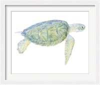 Framed Tranquil Sea Turtle I