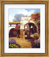 Framed Capistrano