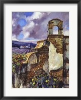 Mission Vineyard Framed Print