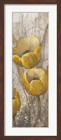 Framed Ochre Tulips I