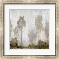 Framed Misty Marsh I