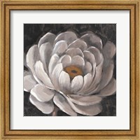 Framed Neutral Fleur II