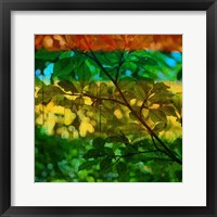 Framed Abstract Leaf Study I