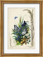 Framed Victorian Butterfly Garden VIII