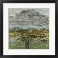 Arbor Shadow II Framed Print