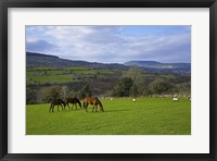 Framed Horses and Sheep in the Barrow Valley, Near St Mullins, County Carlow, Ireland