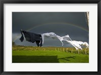 Framed Rainbow, Stormy Sky and Clothes Line, Bunmahon, County Waterford, Ireland