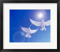 Framed Two doves side by side with wings outstretched in flight with brilliant light and blue sky