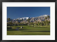 Framed Palm trees in a golf course, Desert Princess Country Club, Palm Springs, Riverside County, California, USA