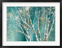 Framed Blue Birch